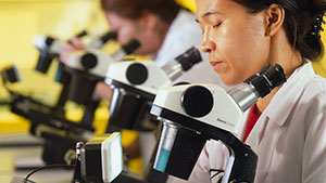 Researcher with Microscope Researcher with Microscope