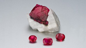 Various Cuts of Rubies 