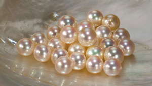 about pearl