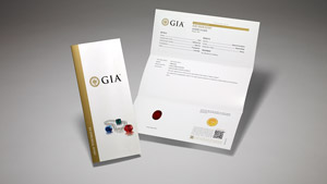 GIA Colored Stone Identification & Origin Report with main components of the report on display, and colored stones and pearls on the front cover.