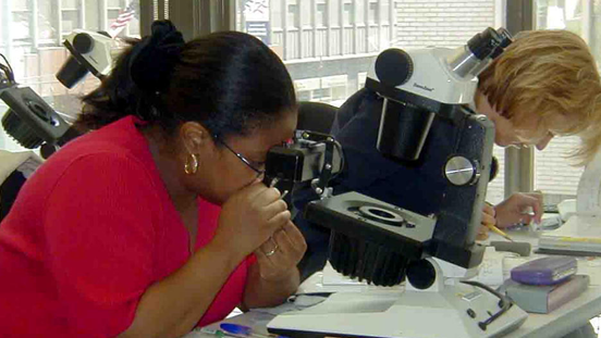 Hands-on experience that will help jumpstart your career.