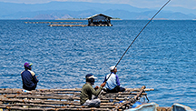 Pearl farm on the Indonesian island of Lombok Pearl farm on the Indonesian island of Lombok