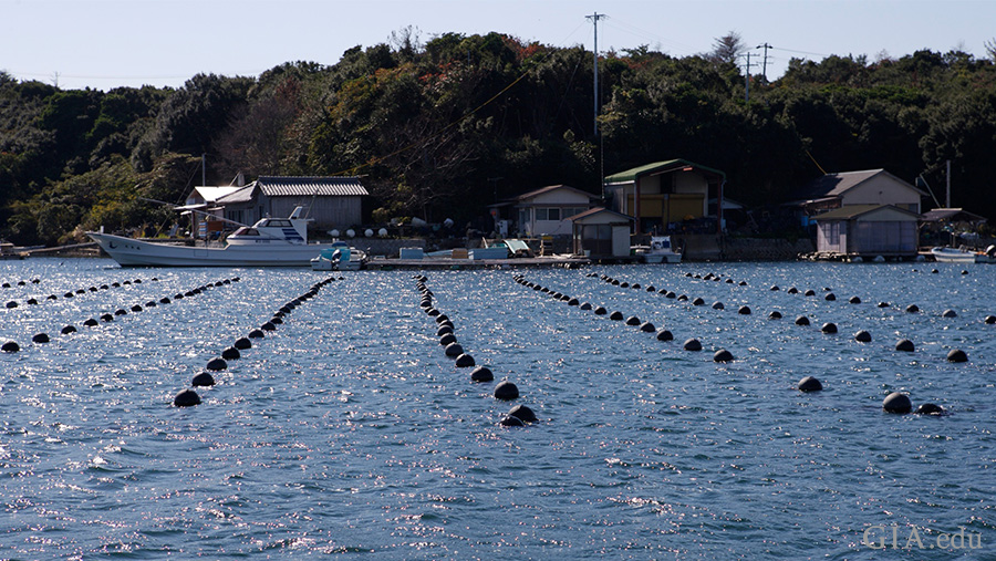 The June birthstone is found in this ocean landscape with boats docked on shore in Ago Bay, Japan an important site for akoya cultured pearl farms. The June birthstone is found in this ocean landscape with boats docked on shore in Ago Bay, Japan an important site for akoya cultured pearl farms.