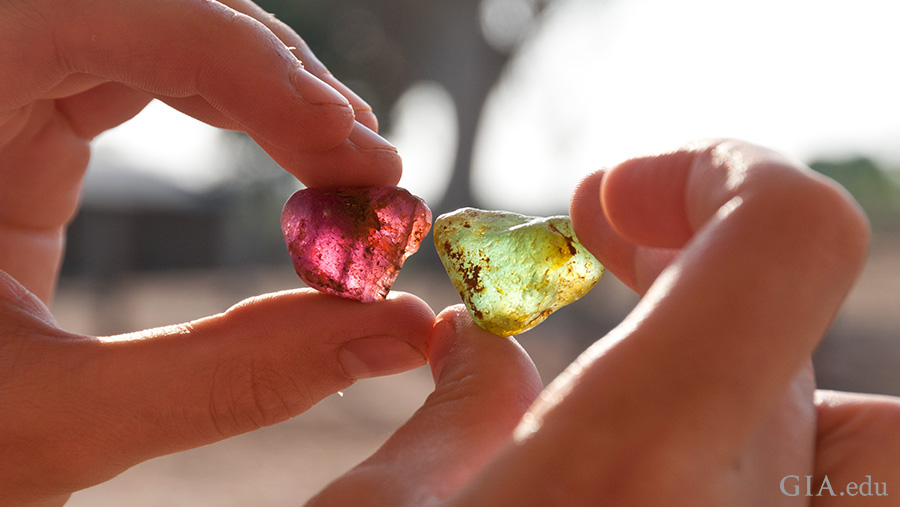 Hands holding purple and green tourmaline rough while visiting the deposit of the October birthstone, near Mavuco village in Mozambique. Hands holding purple and green tourmaline rough while visiting the deposit of the October birthstone, near Mavuco village in Mozambique.