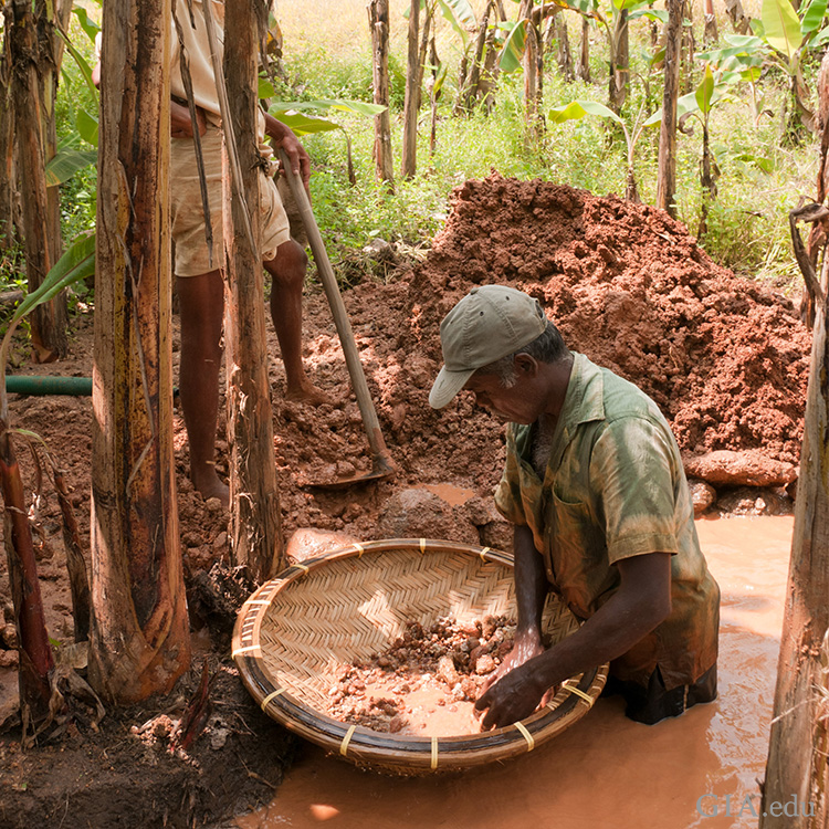 An artisanal miner searches through a basket for the December birthstone, zircon, in a muddy river in the Elahera region of Sri Lanka. An artisanal miner searches through a basket for the December birthstone, zircon, in a muddy river in the Elahera region of Sri Lanka.