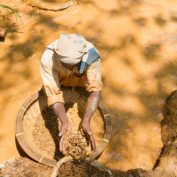 Miner in Sri Lanka searching for September’s birthstone, sapphire, among gravel using rudimentary washing techniques in a local stream. Miner in Sri Lanka searching for September’s birthstone, sapphire, among gravel using rudimentary washing techniques in a local stream.