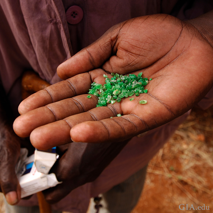 Miner in Voi, Kenya holding a handful of small rough tsavorite garnets, the birthstone for January. Miner in Voi, Kenya holding a handful of small rough tsavorite garnets, the birthstone for January.