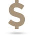 Dollar Icon Dollar Icon